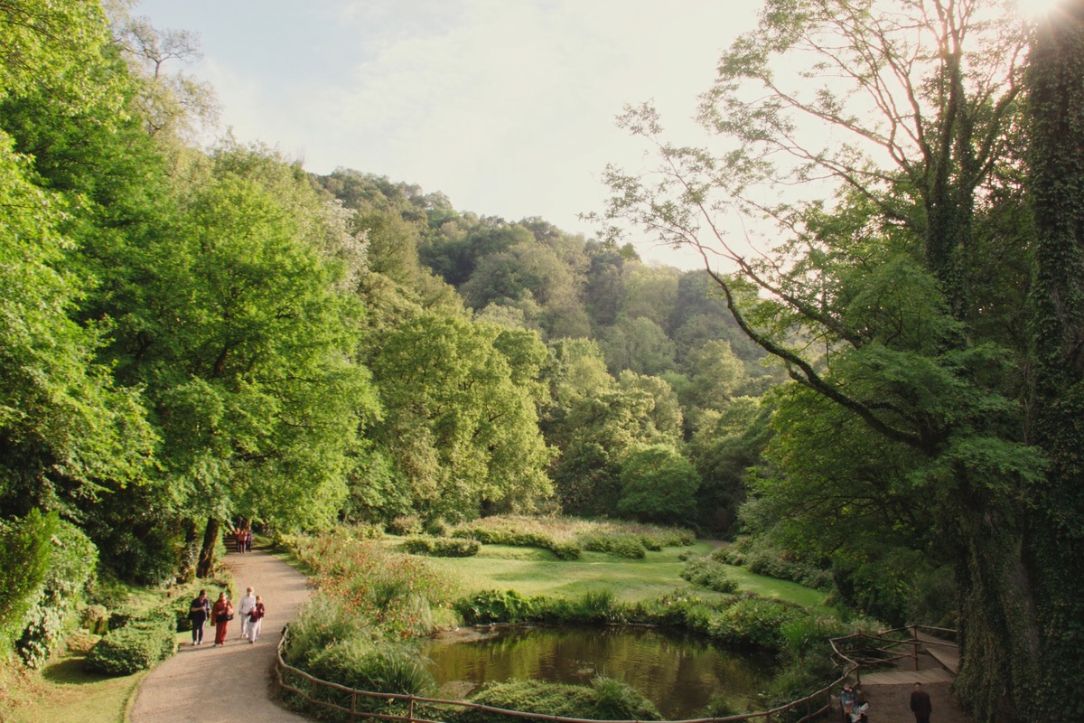 Senderos y estanque del Jardín Botánico Atlántico